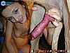 animal017.jpg